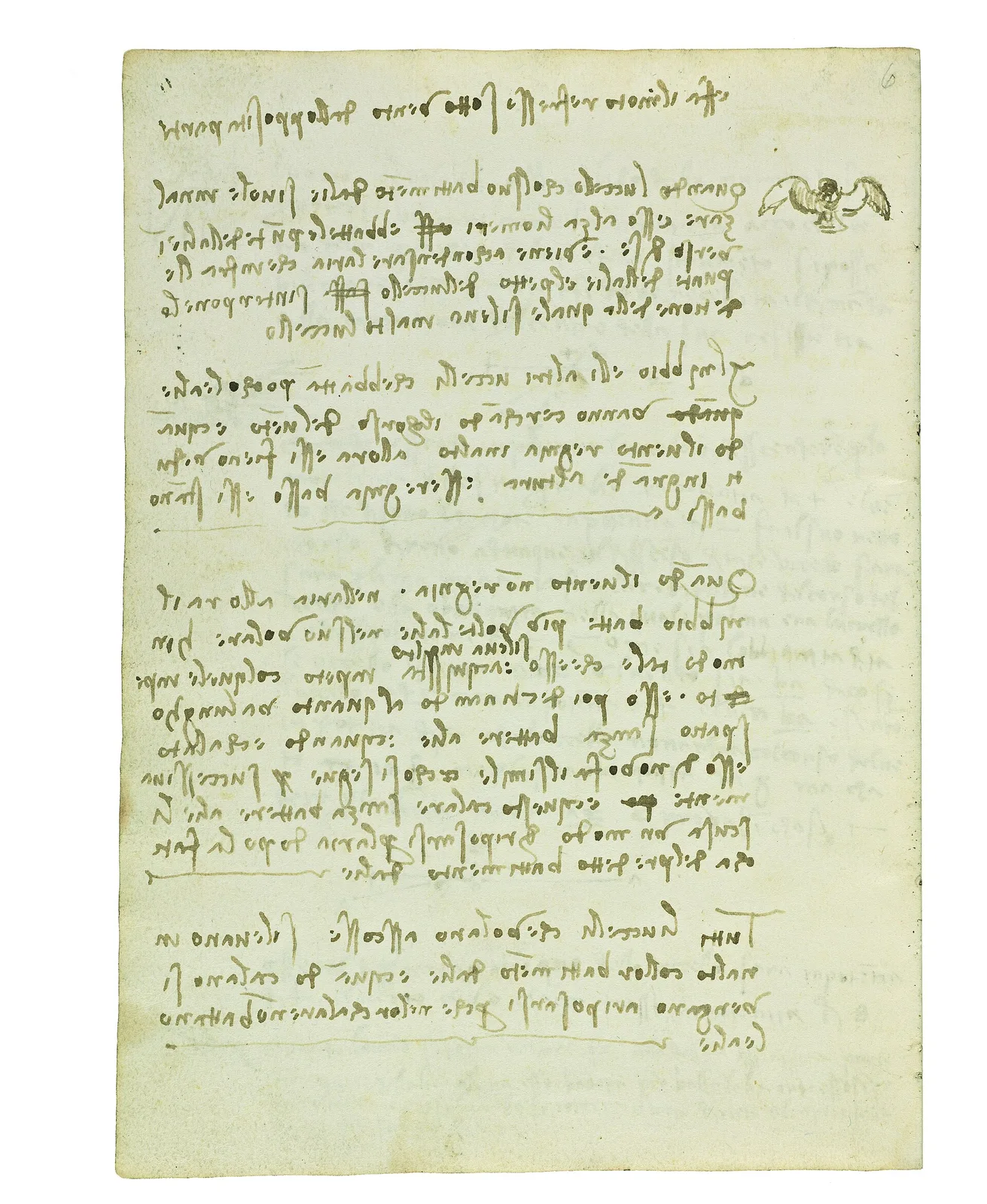 Notes on the Beating of Birds' Wings