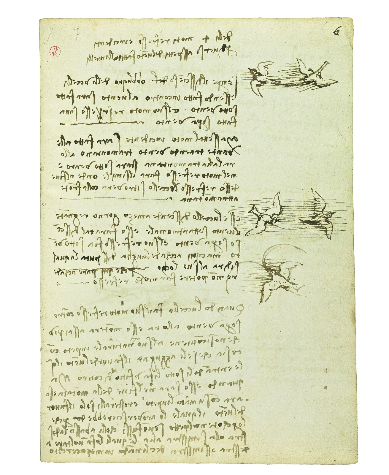 Notes on Bird Flight in various Wind Conditions
