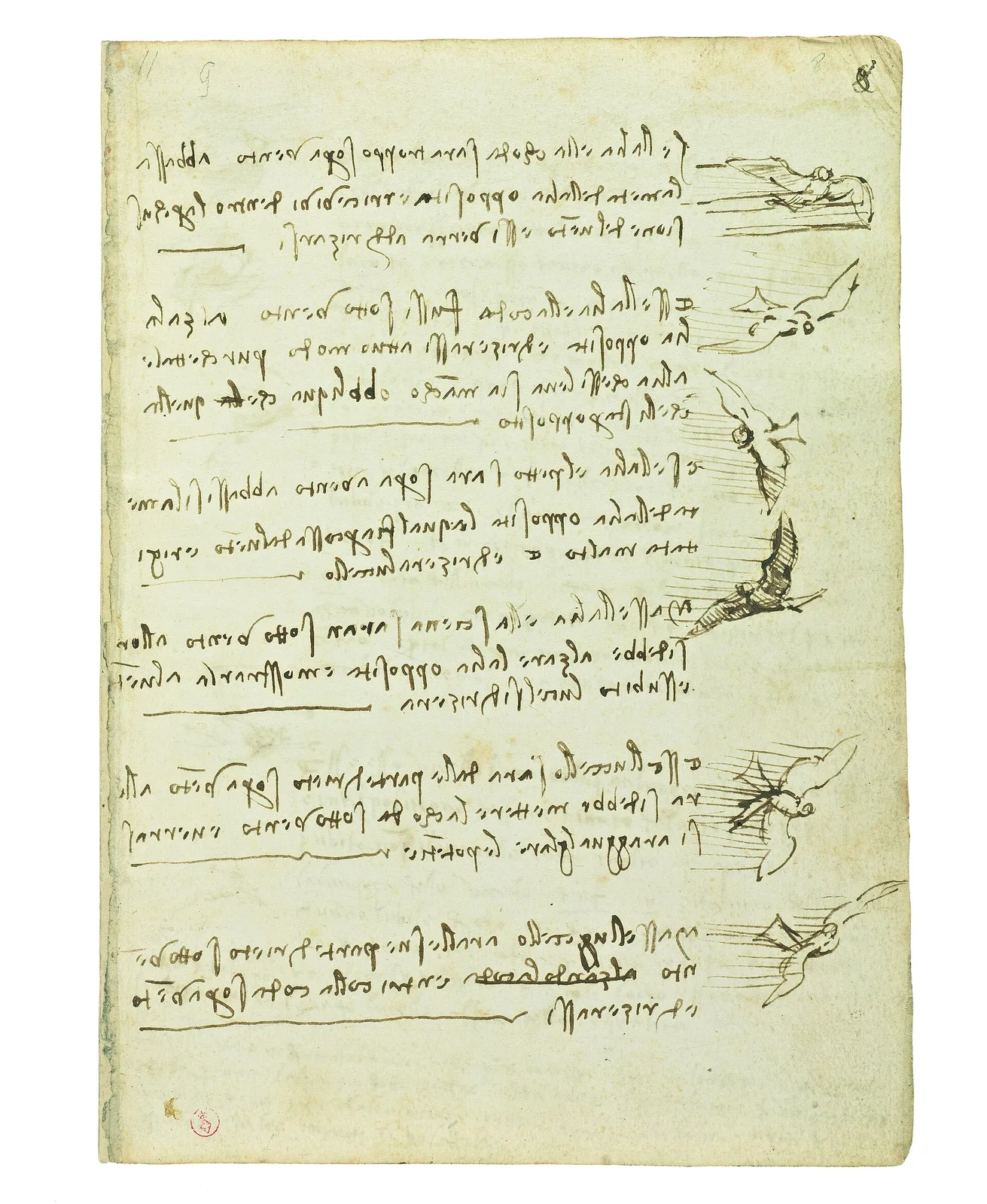 Notes on the Position of a Bird in Flight in Relationship to the Wind (Zöllner 623)