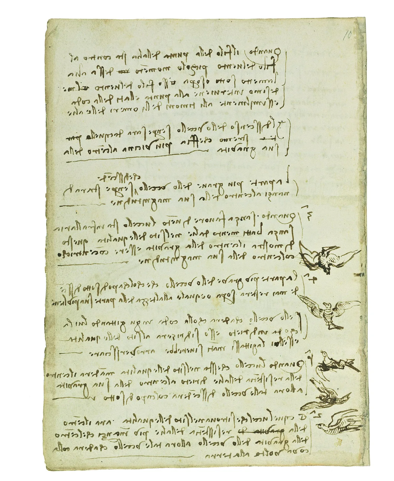 Notes on the Equilibrium of Birds during Descent
