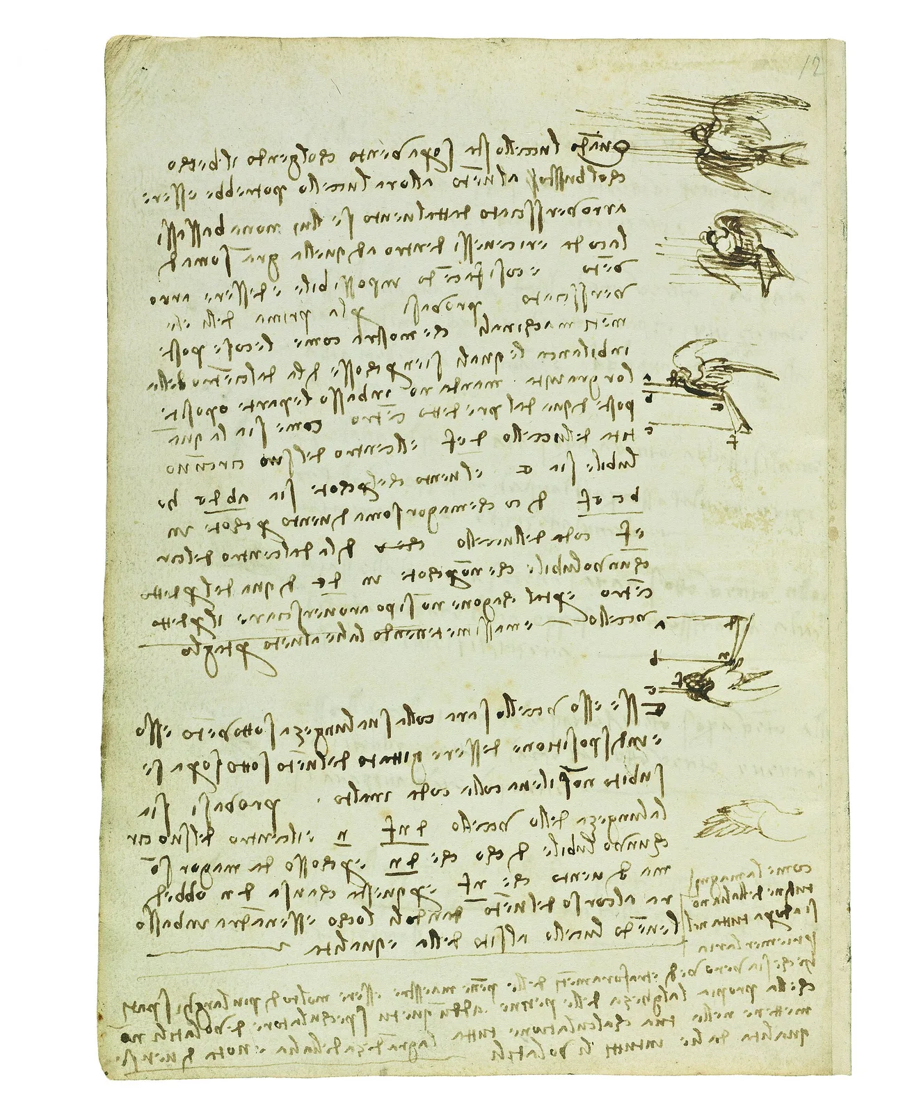 Notes on the Position of a Bird in Flight in Relationship to the Wind (Zöllner 625)