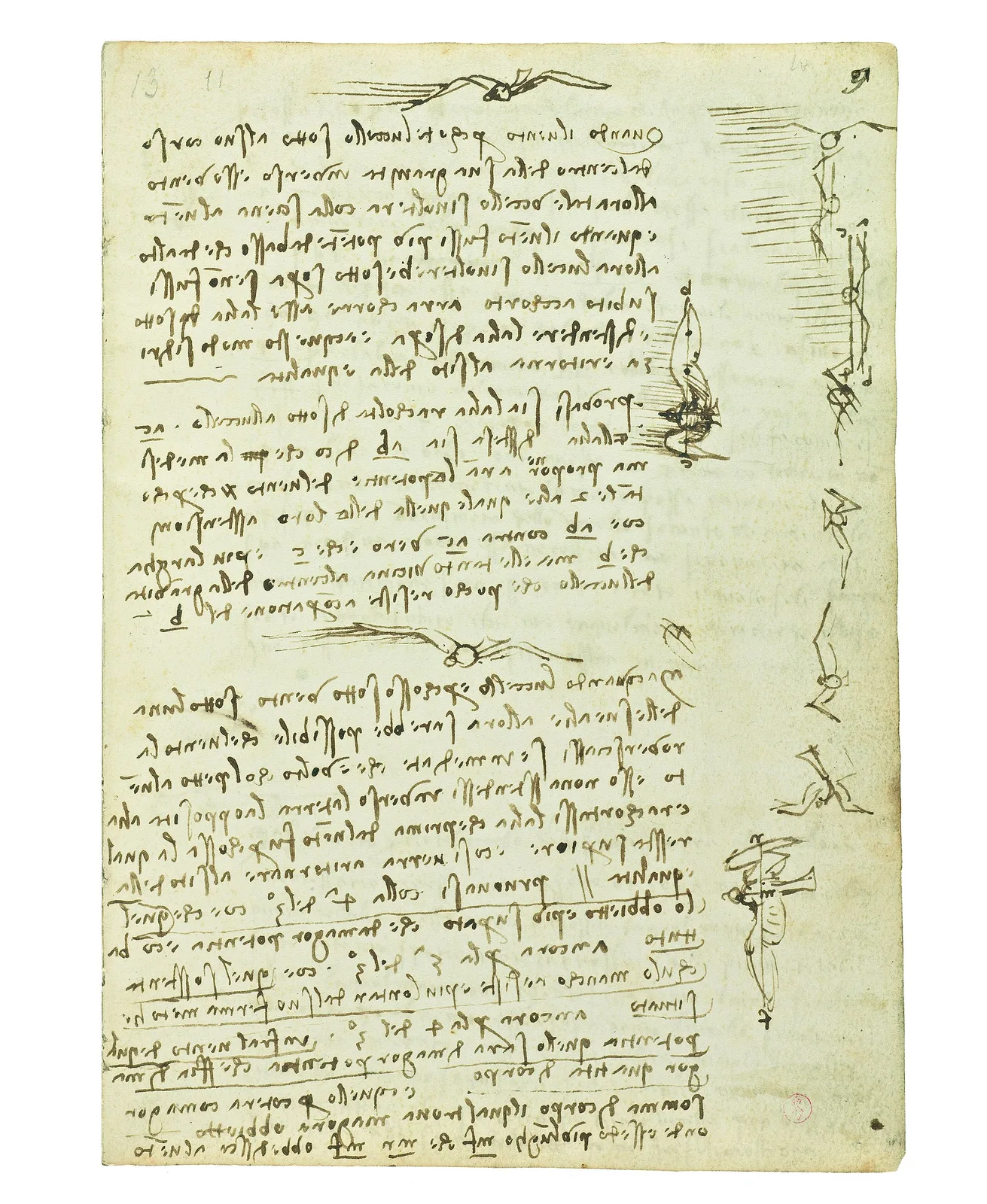 Notes on the Influence of Gusts of Wind on the Flight of Birds