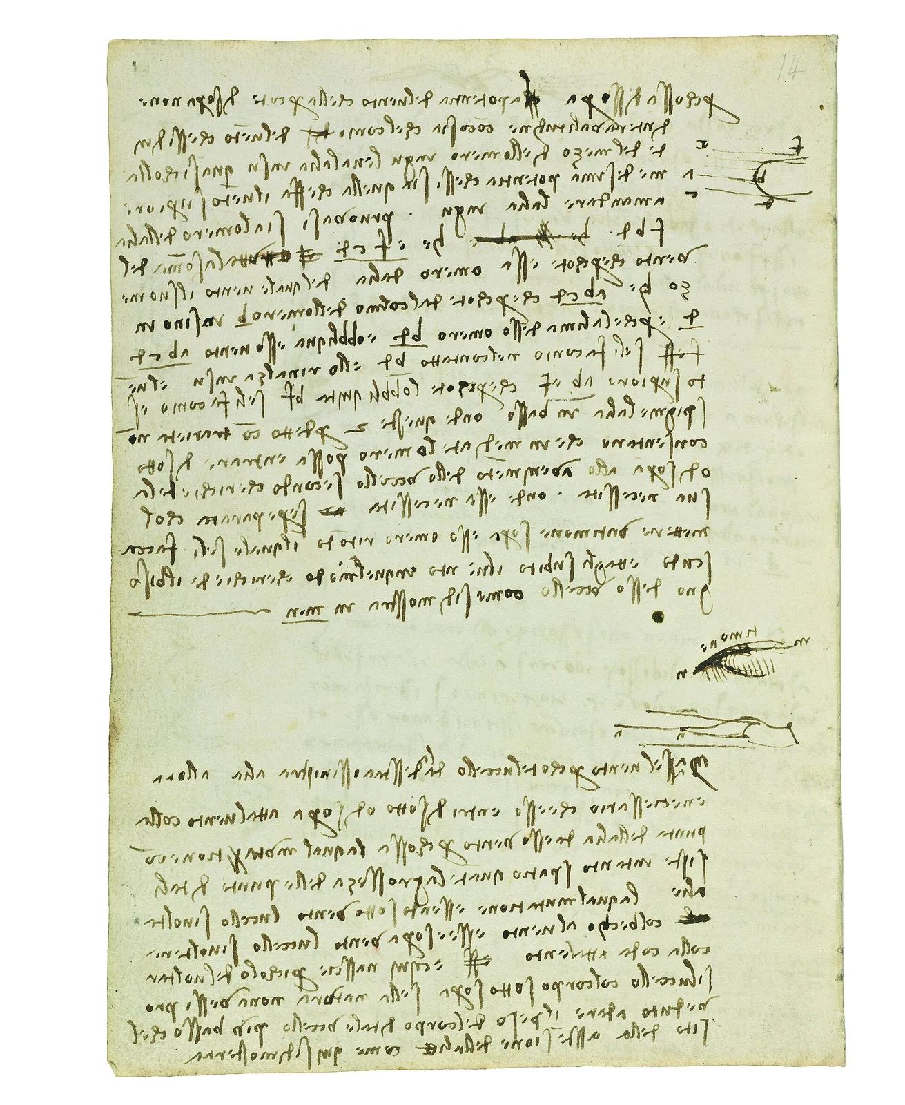 Notes on the Influence of Wind on the Flight on Birds