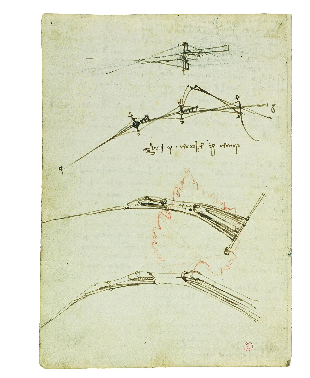 On the Movement of Birds' Wings
