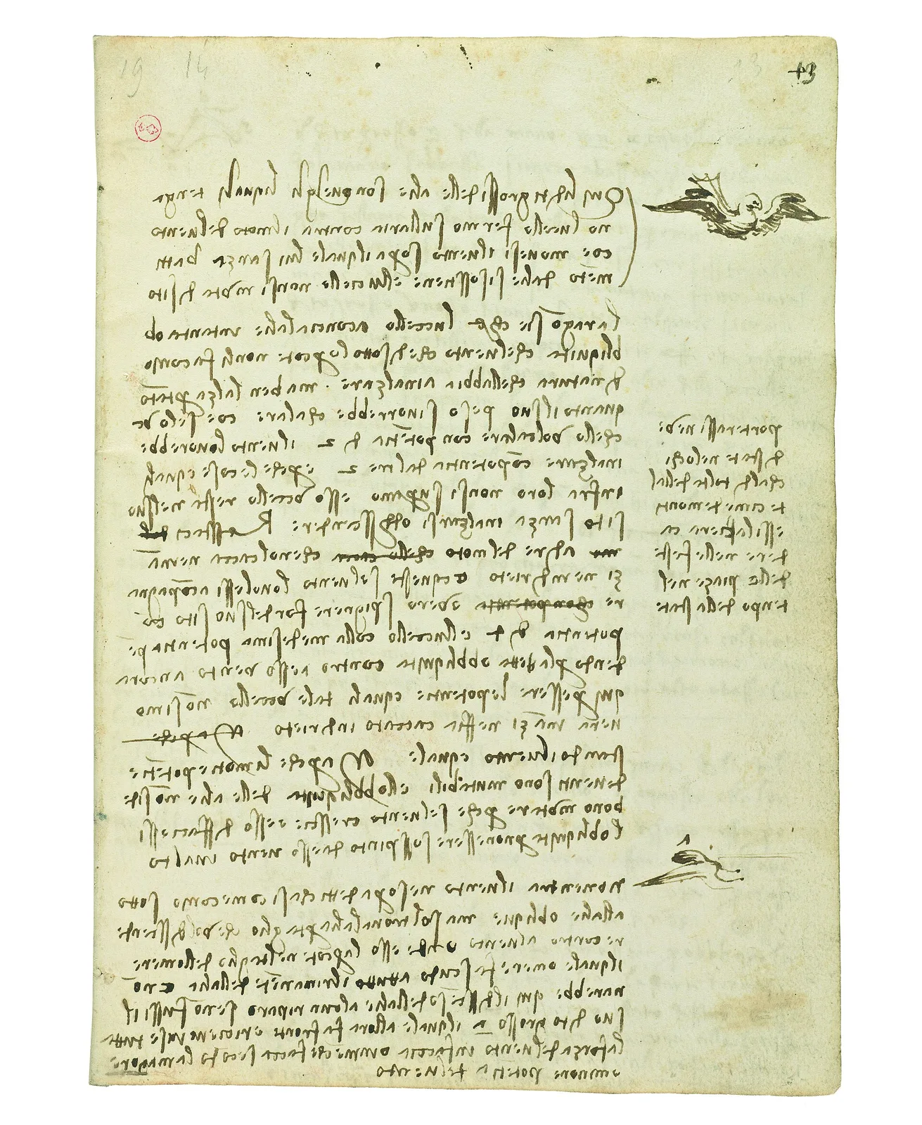 Notes on Gliding in Bird Flight