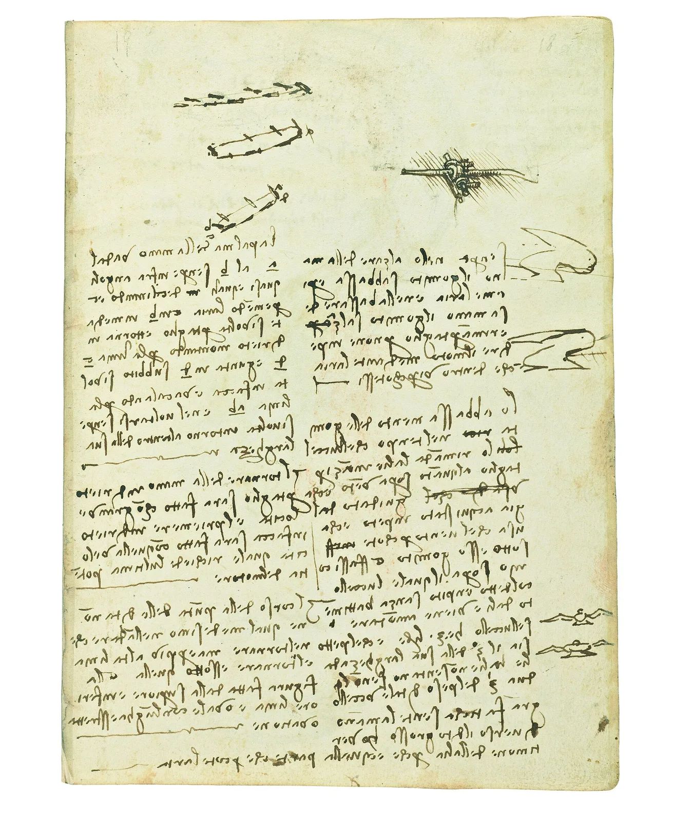 Studies on the Movement of the Wing and on the Effect of Wind