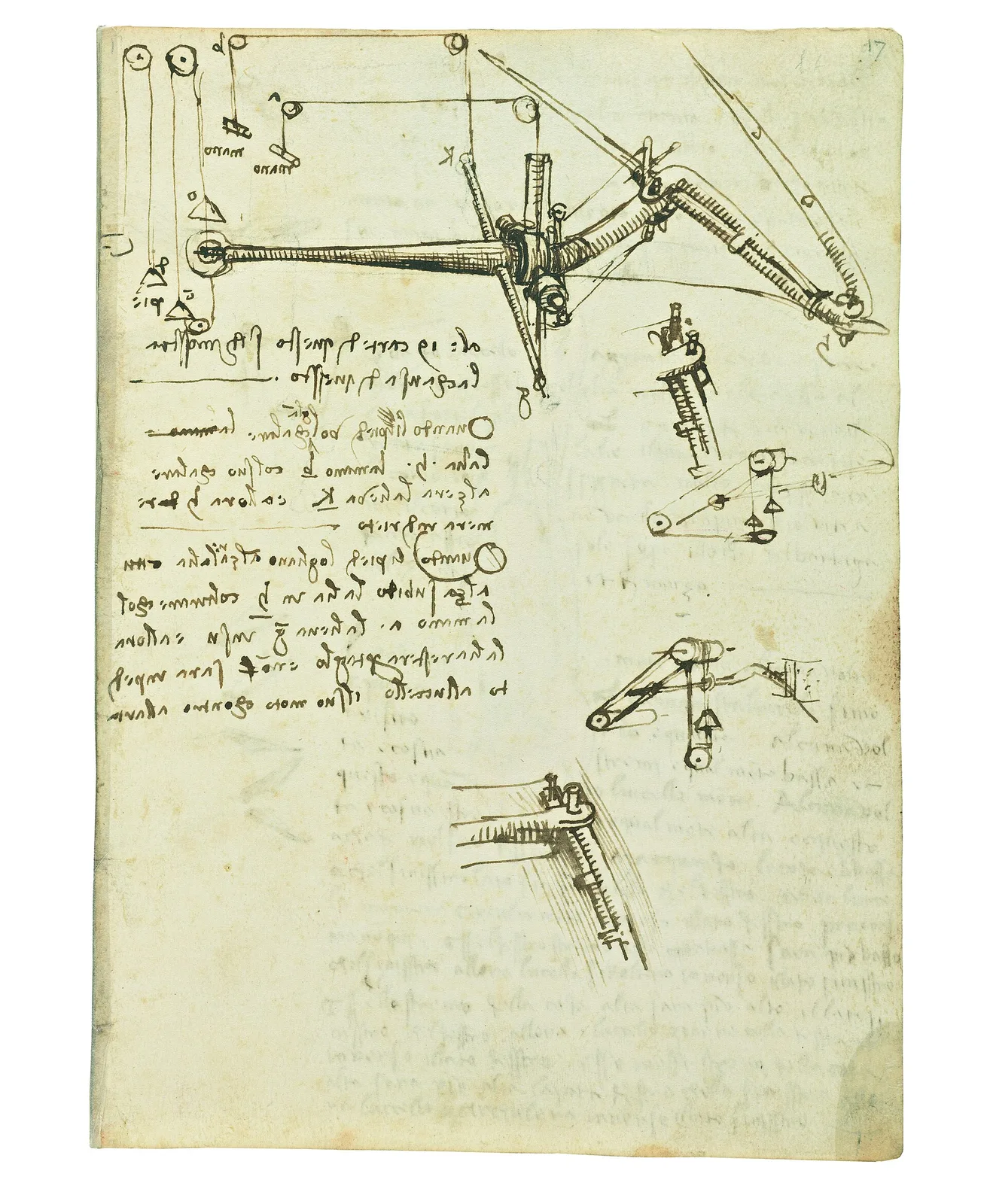 Studies of the Functioning of a Wing