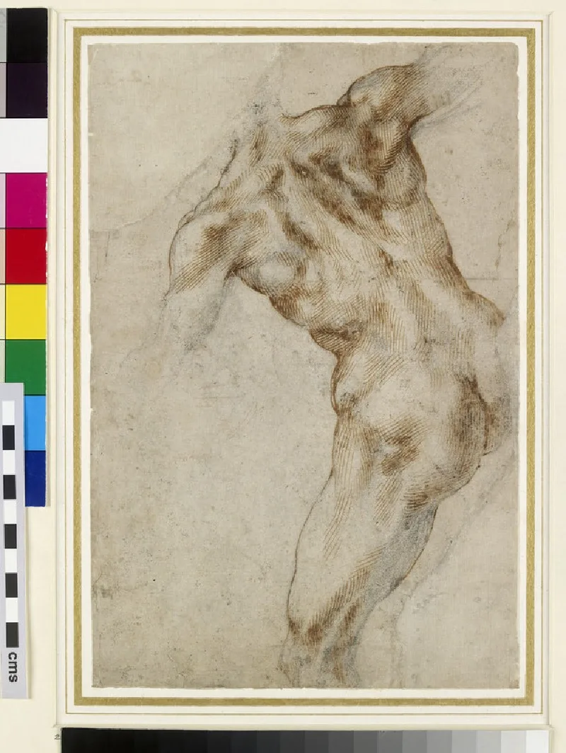 Nude male Torso (possibly a study for the Battle of Cascina)