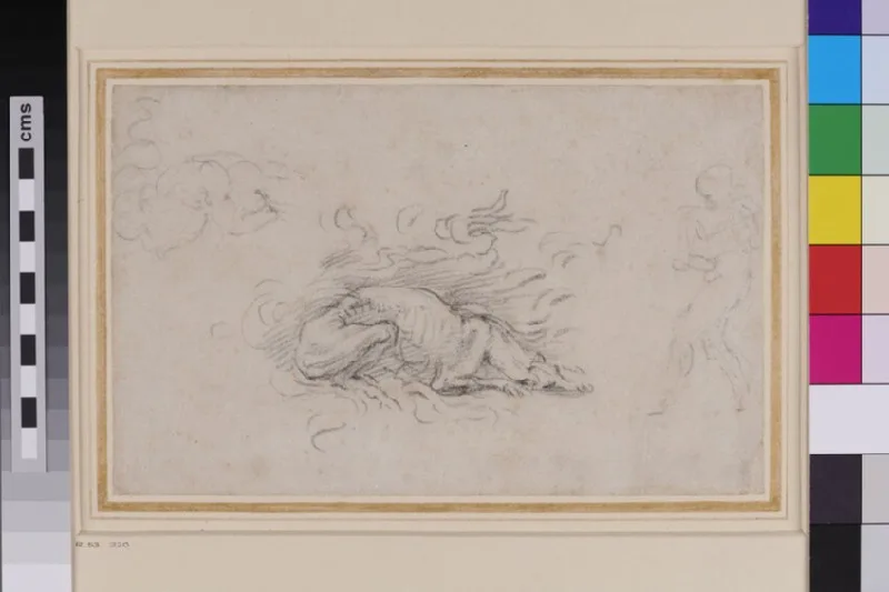 Fabulous Animal amid Flames