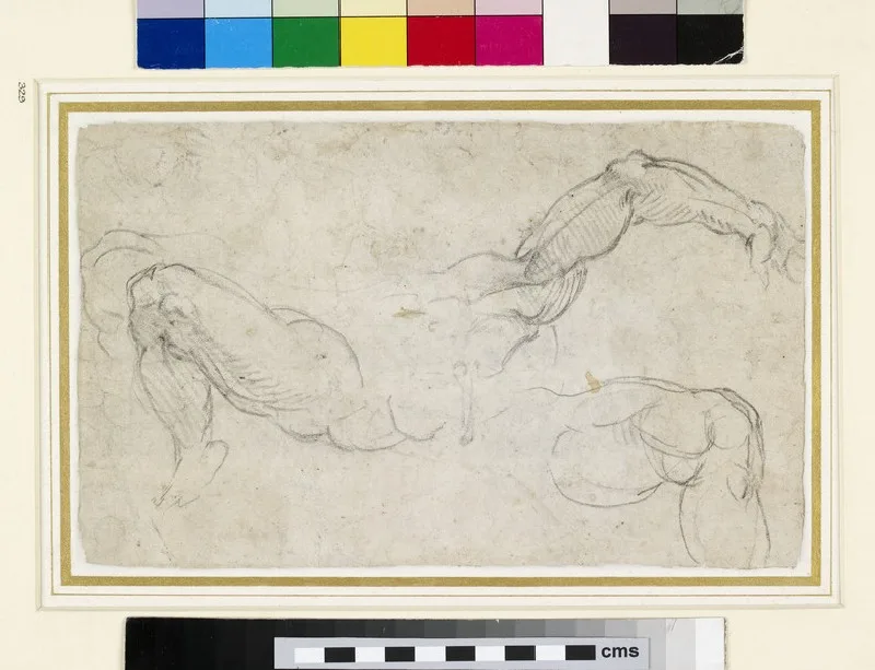 Studies of Arms and Legs