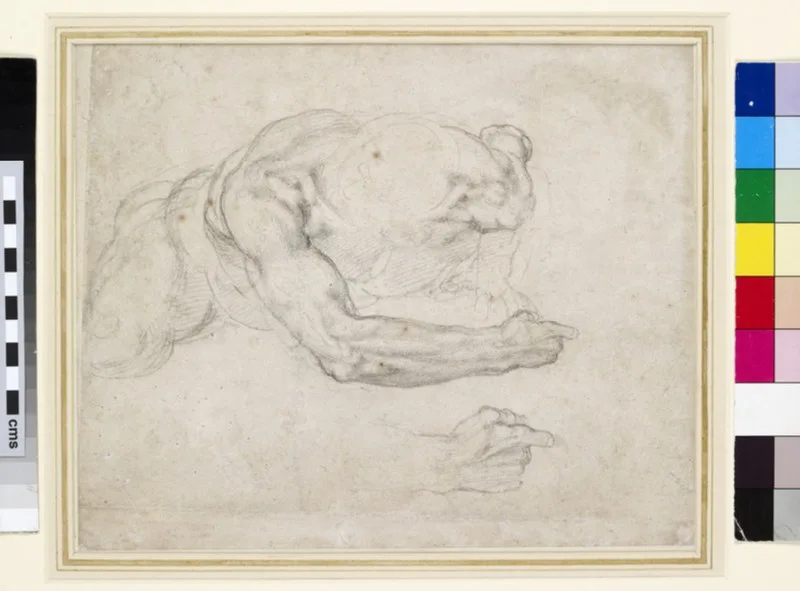 Study of a Man rising from the Ground
