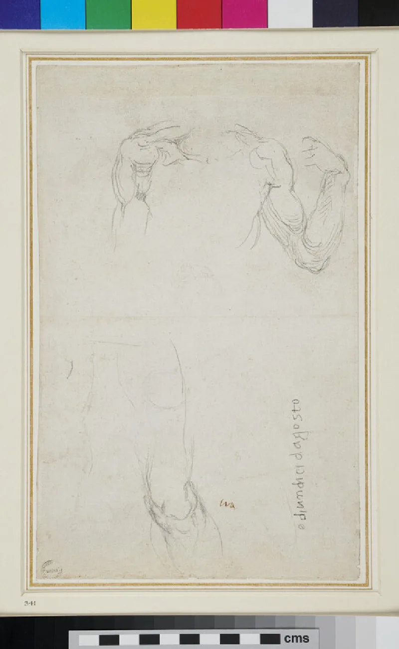 Studies of Anatomy (Ashmolean Museum)