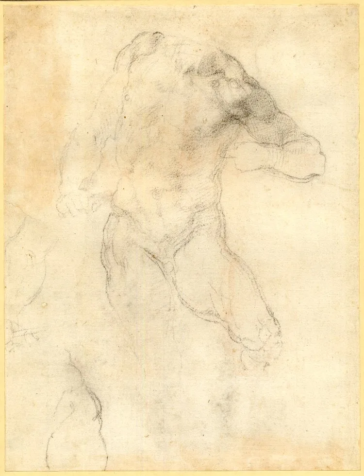 Studies for the St Bartholomew in the 'Last Judgement'; the whole, nude figure to the front, omitting the head and the lower part of the the r leg