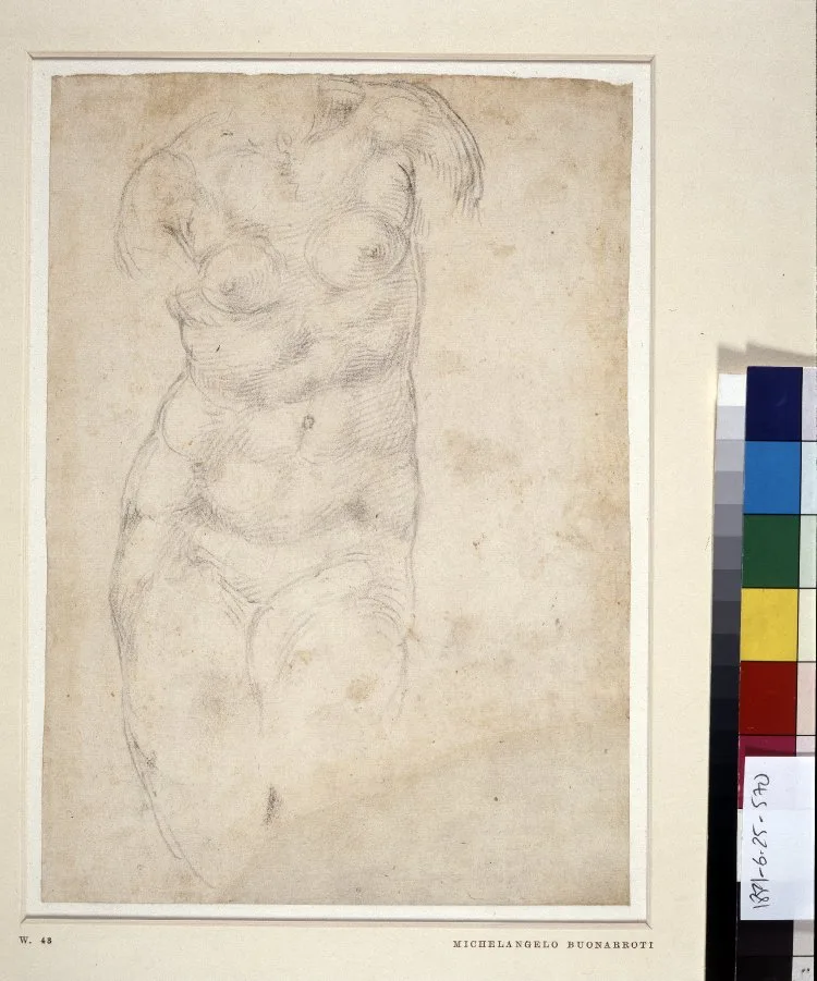 Torso of a statue of Venus, seen from the front. Mid-1520s