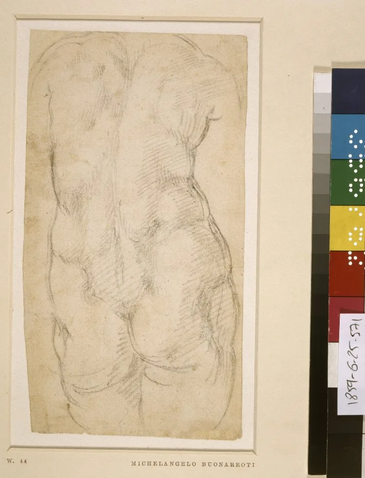Torso of a statue of Venus, seen from behind. Mid-1520s