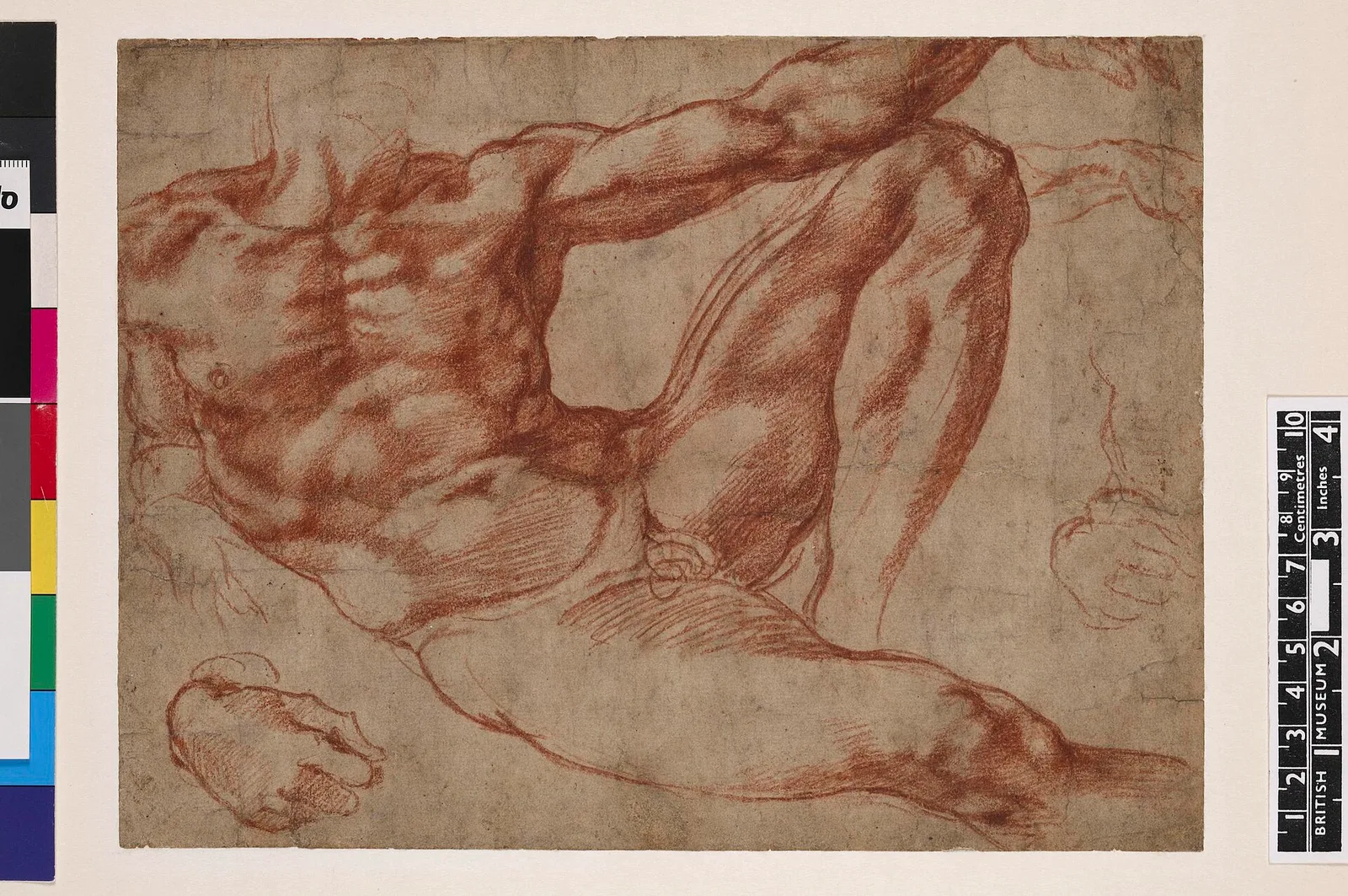 Studies of a reclining male nude