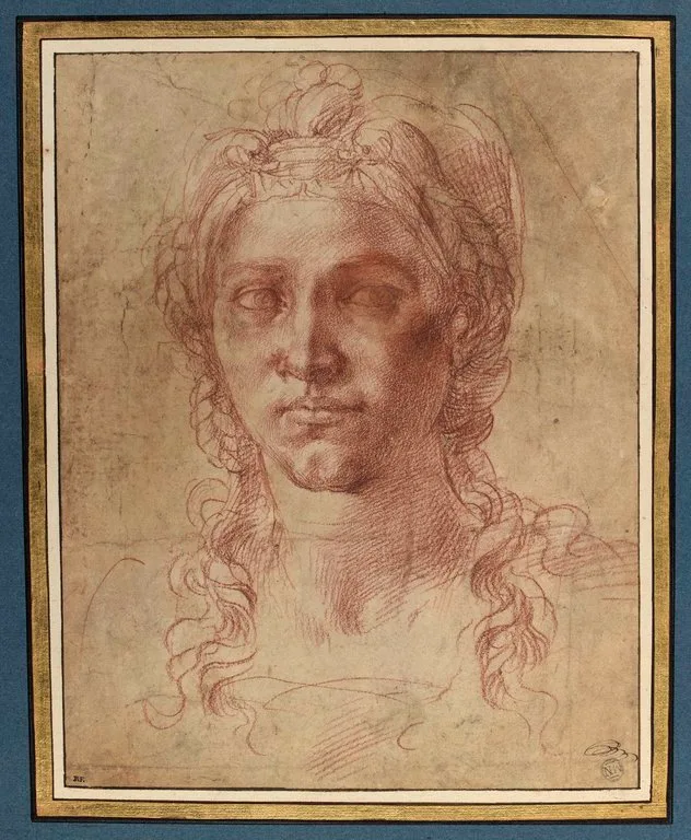 Tête de femme vue de face, les cheveux nattés