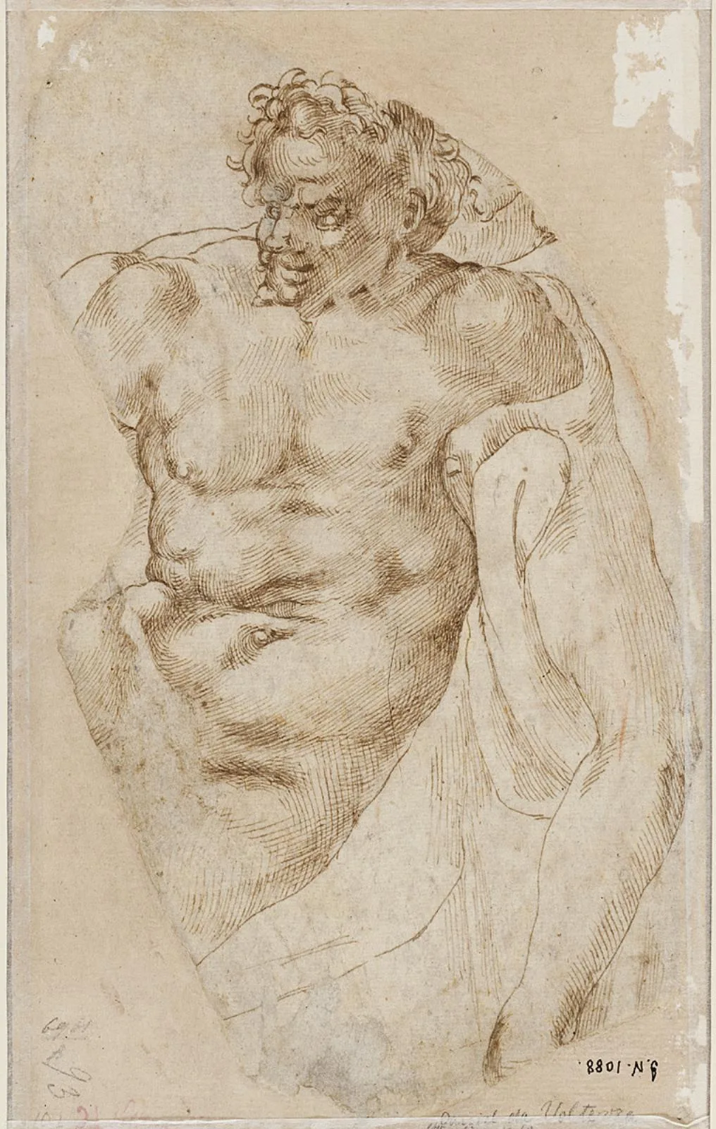 Torso af en satyr, , DEP407 verso, Statens Museum for Kunst