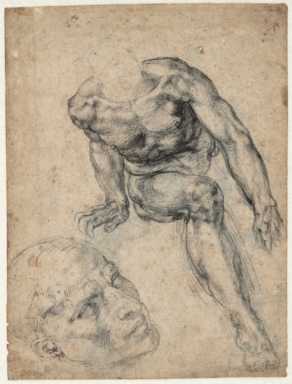 Study of a seated male nude and of a head for the Sistine Chapel
