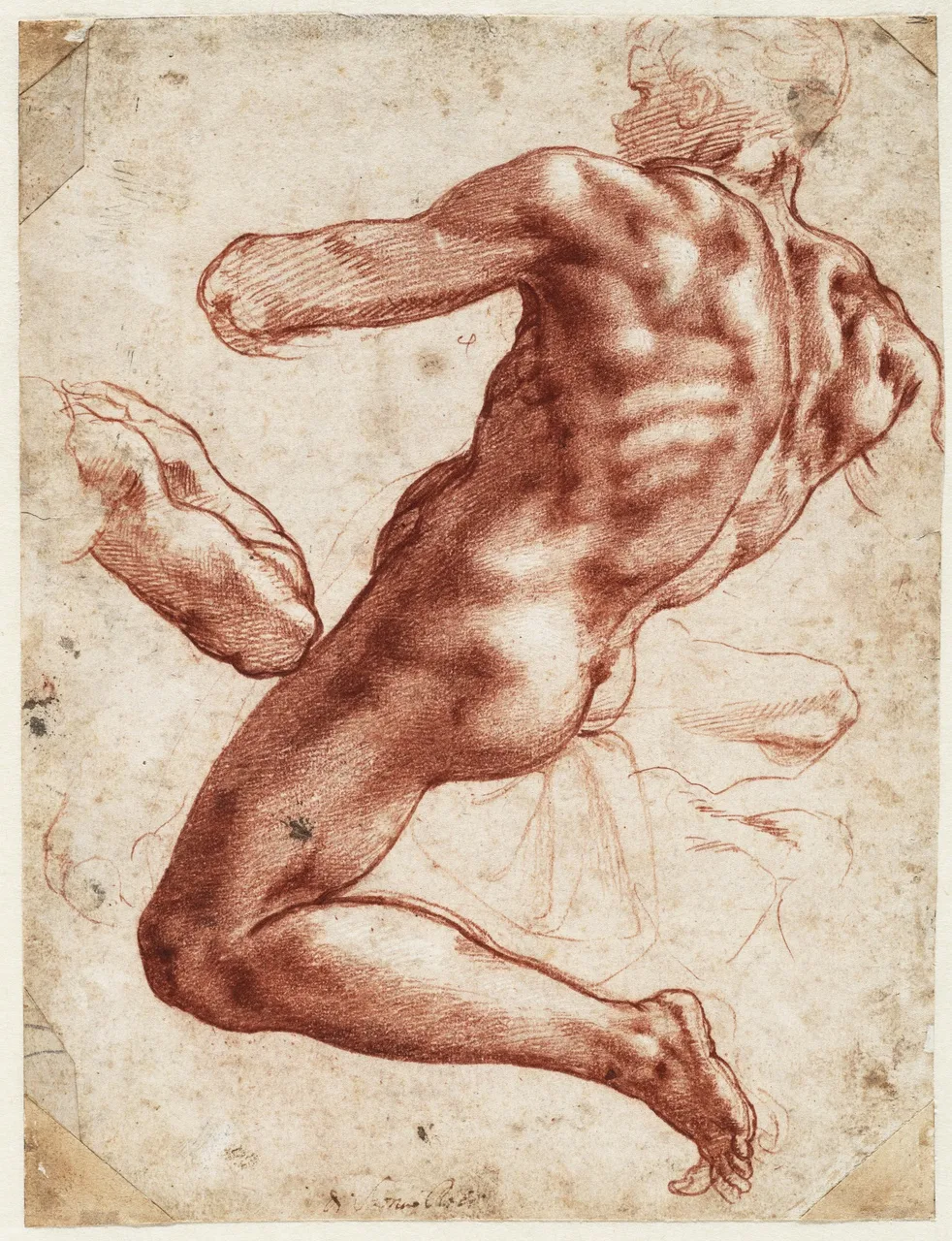 Figure study for an Ignudo in the Sistine Chapel
