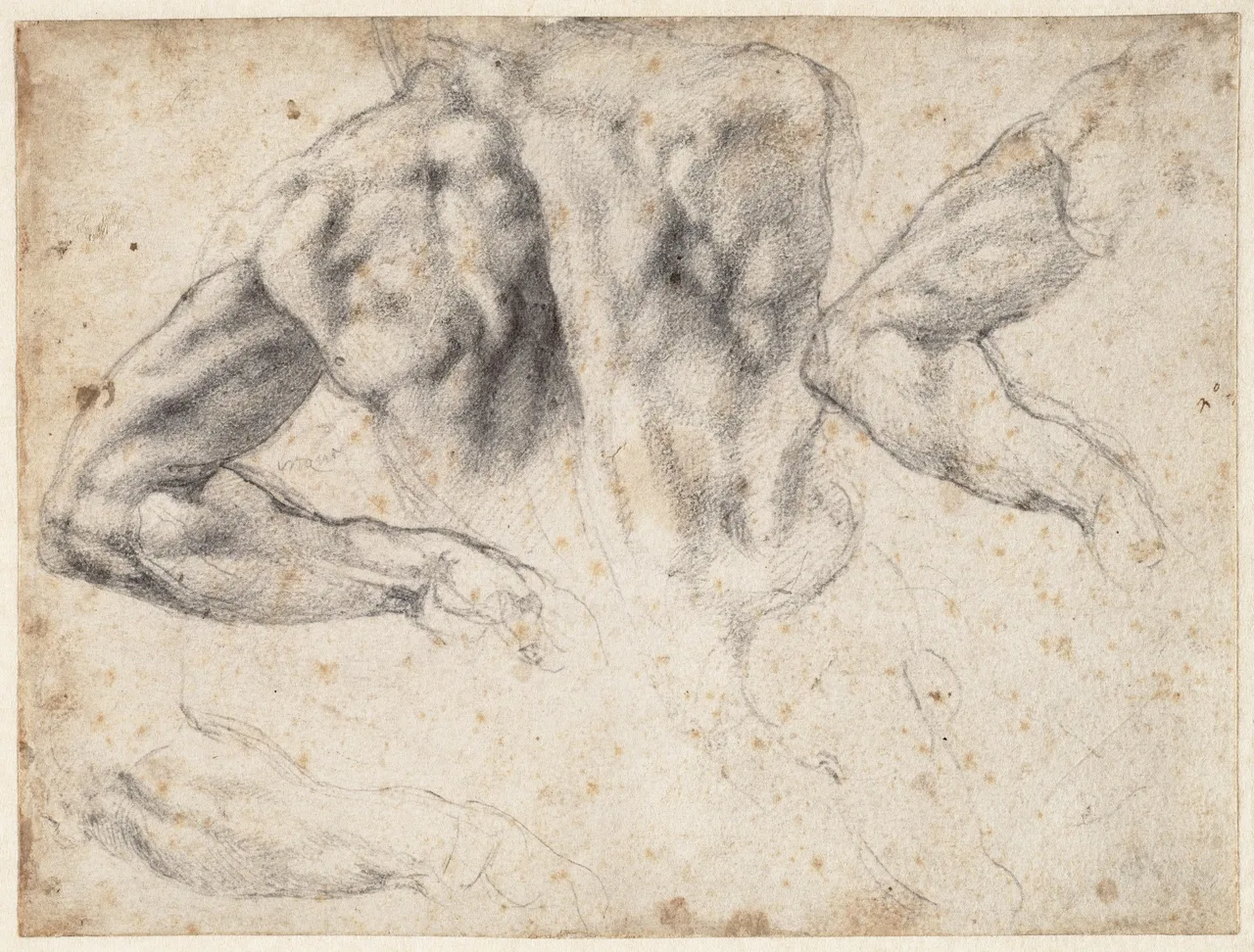 Studie voor de sculptuur 'Dag' op de tombe van Giuliano de' Medici