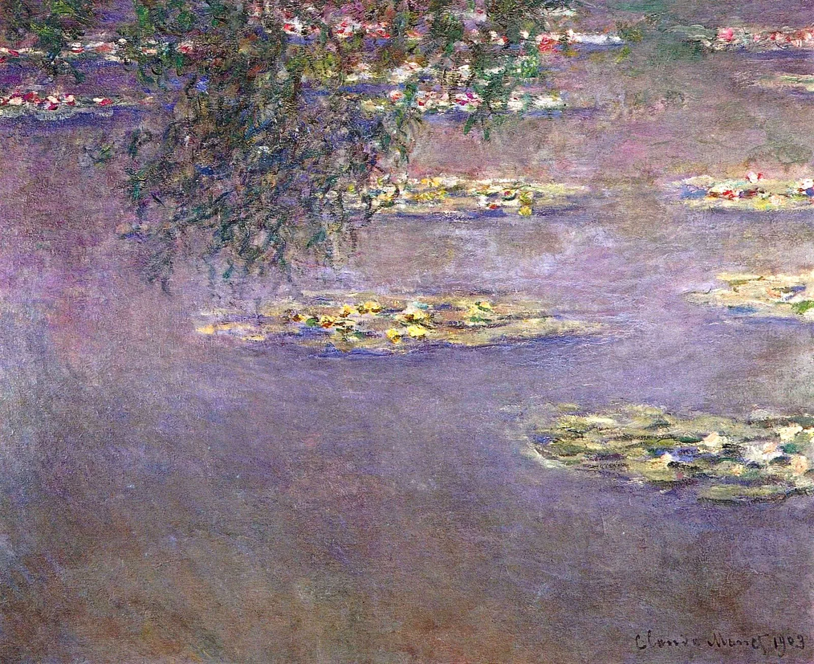 Water-Lilies