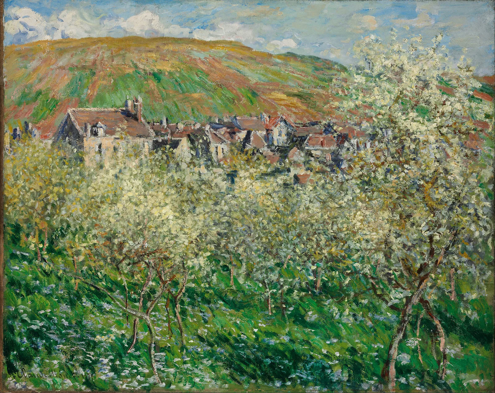Plum Trees in Blossom at Vetheuil