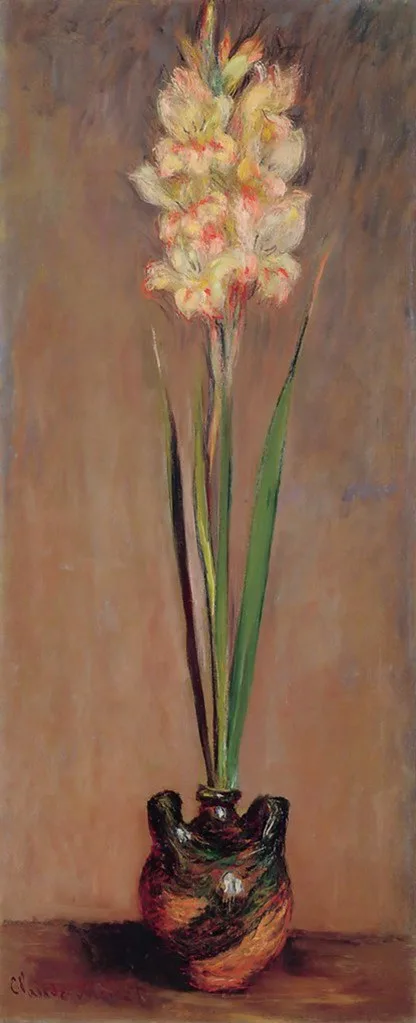 Gladiolus (No. 2)