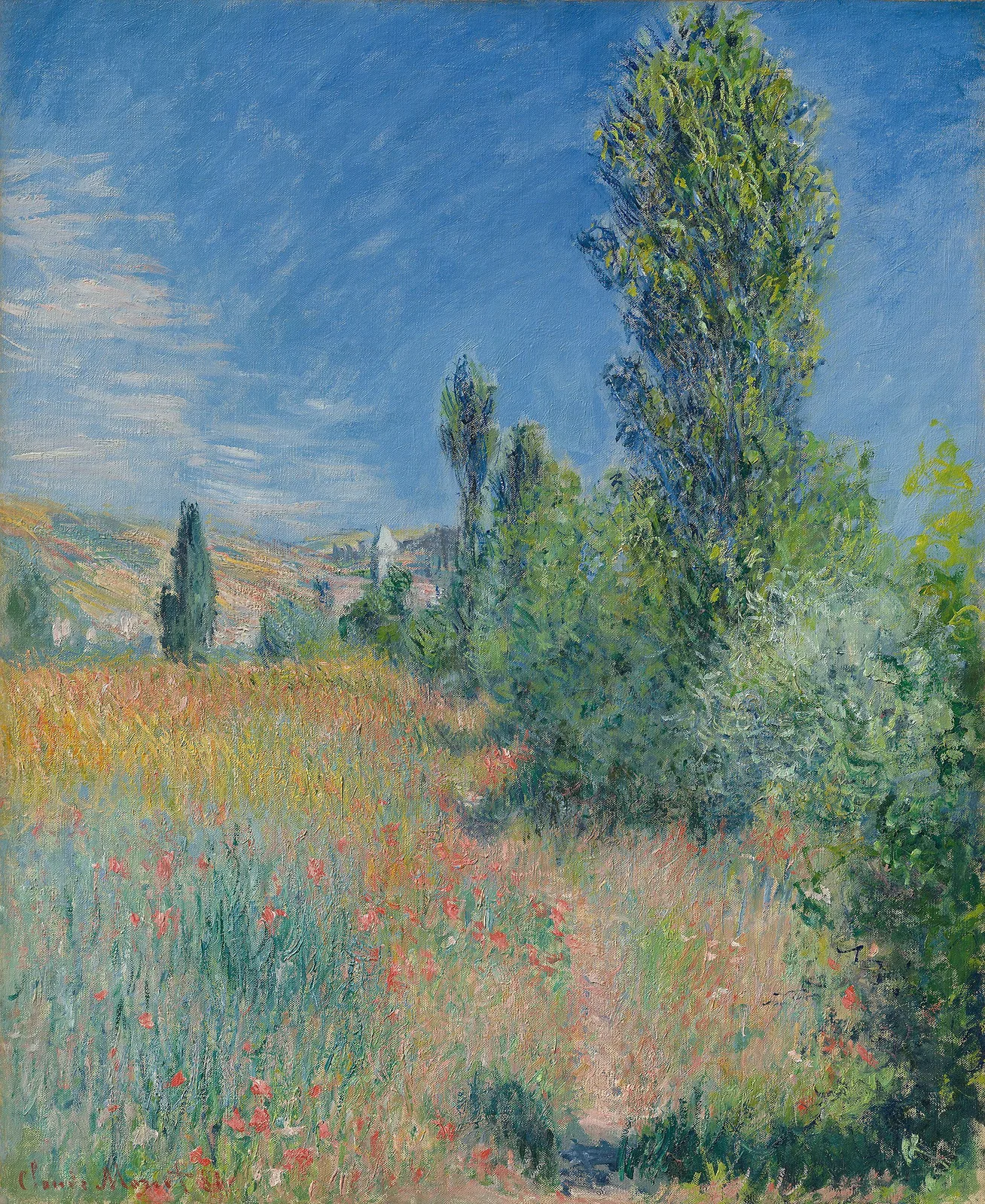 Landscape on the Ile Saint-Martin