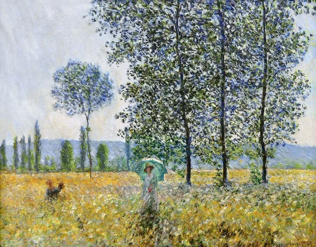 Sunlight Effect under the Poplars