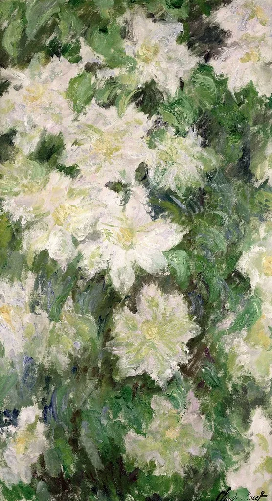 White Clematis