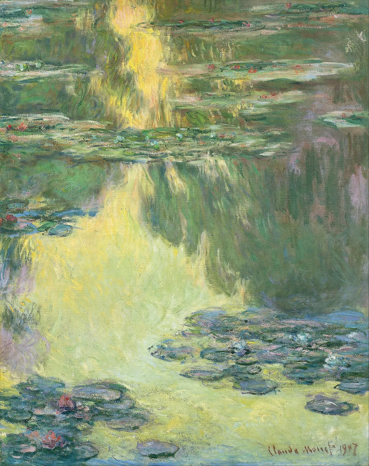 Water Lilies (No. 51)