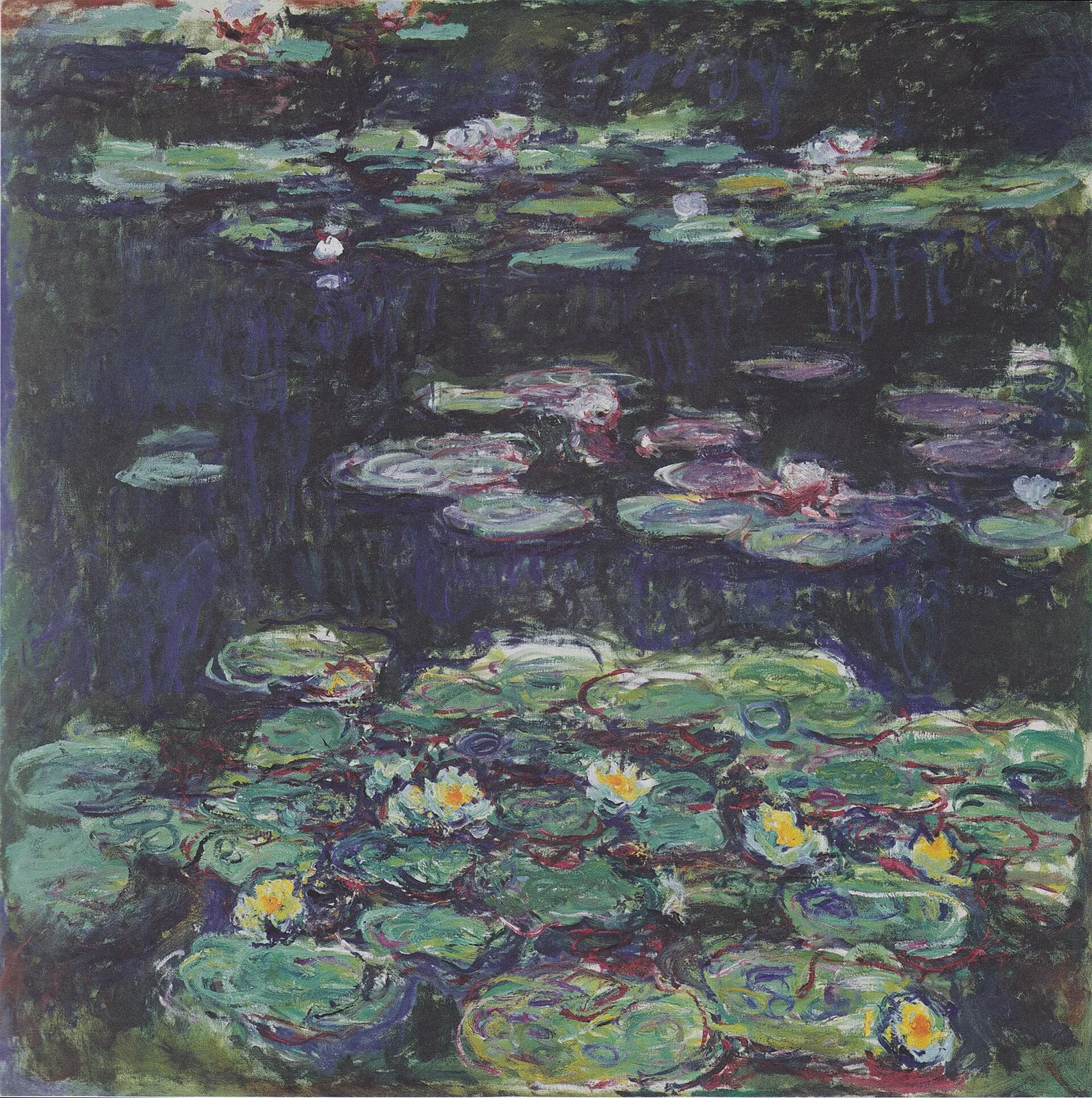 Water Lilies (No. 70)