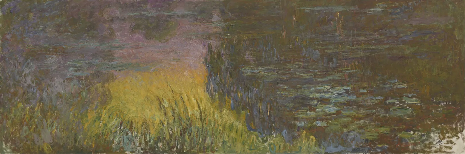 Water Lilies: Setting Sun