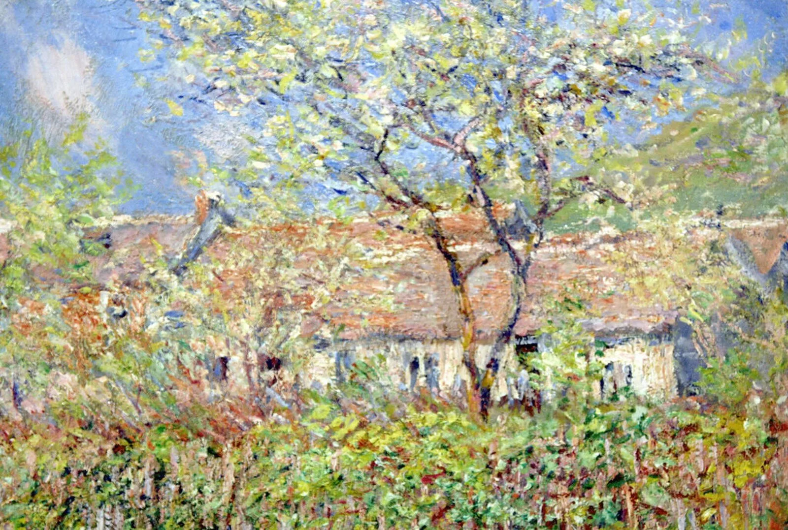 Springtime at Giverny