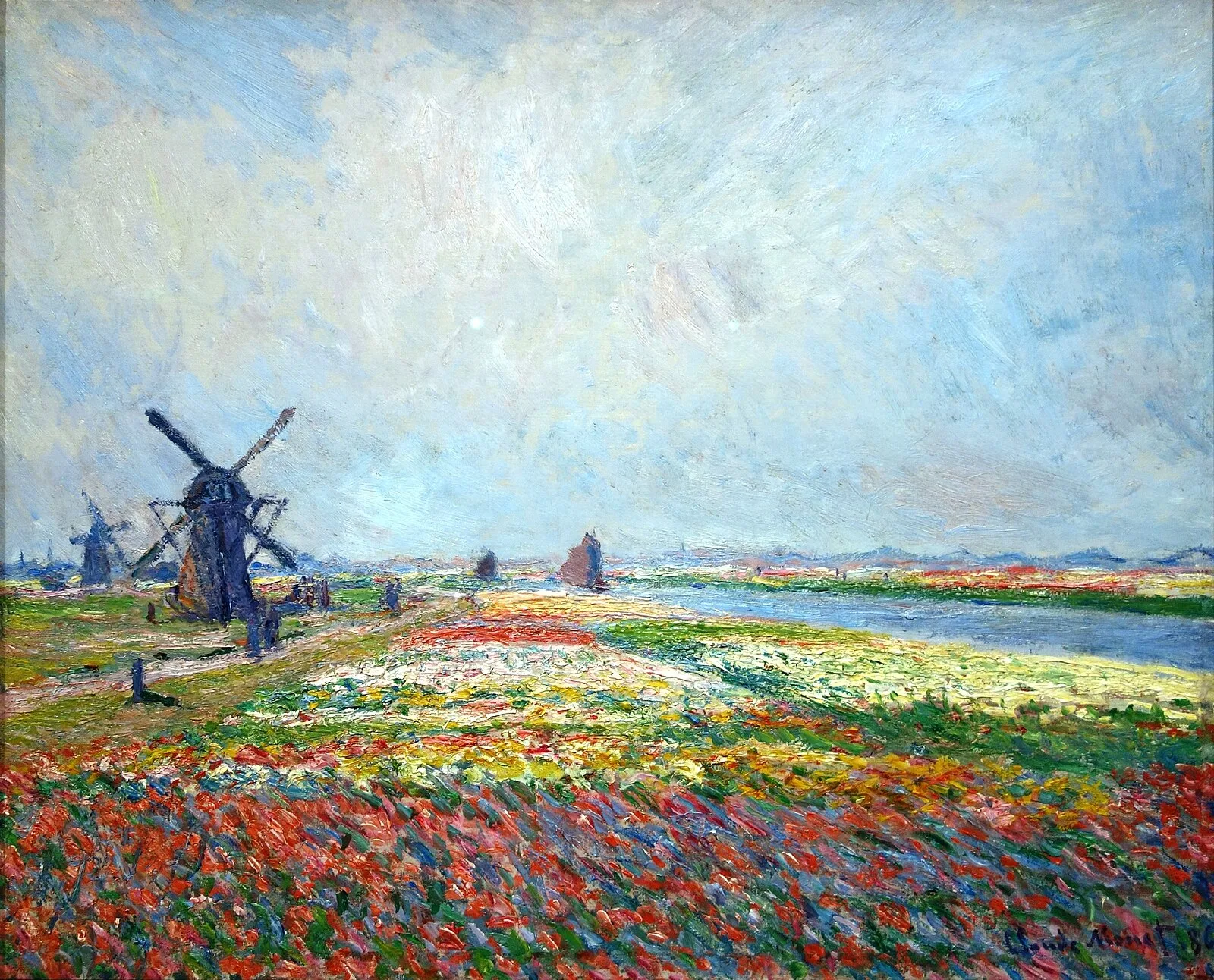Tulip Fields near The Hague