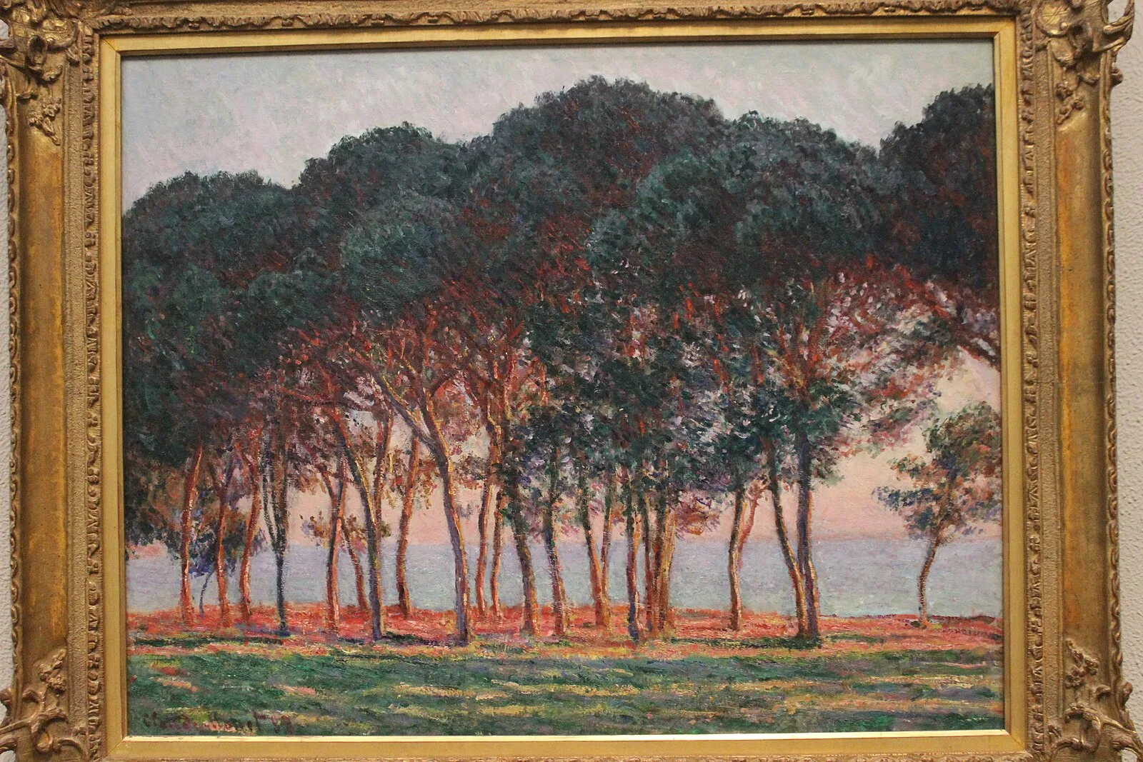 Under the Pine Trees, Evening