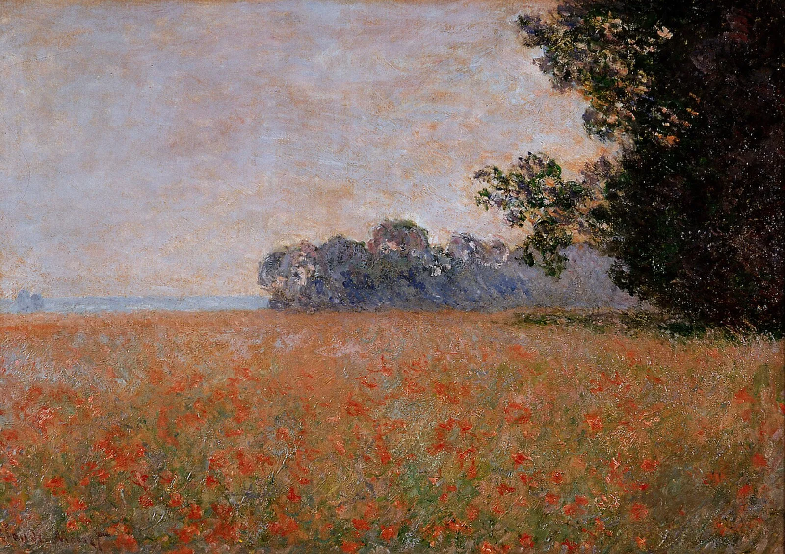 Oat and Poppy Field
