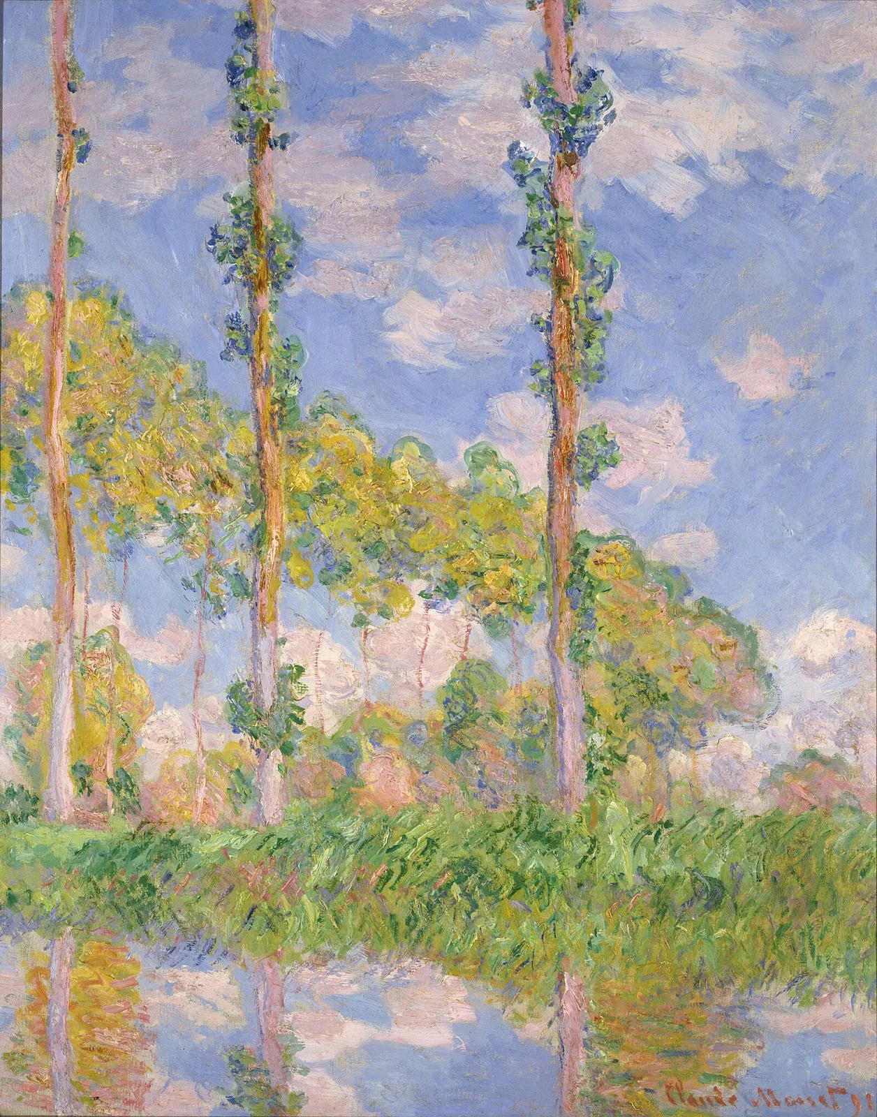Three Trees in Summer