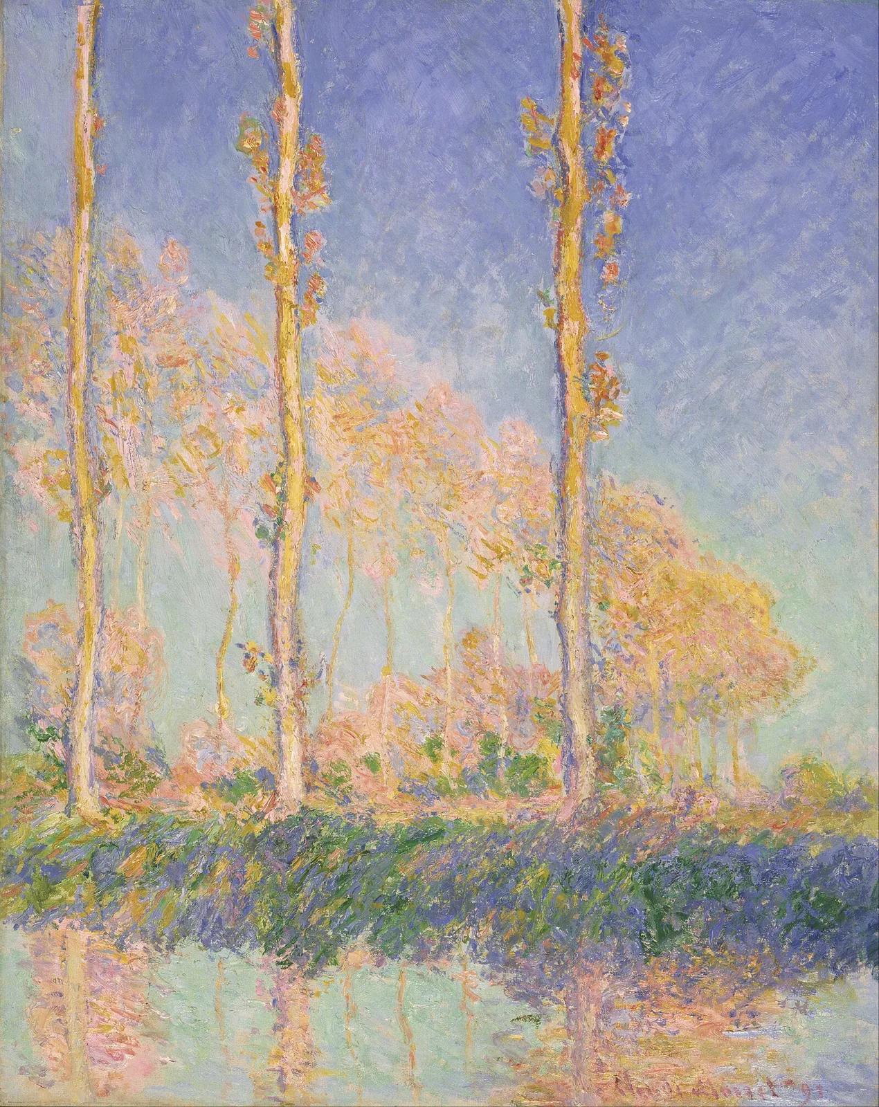 Three Poplar Trees, Autumn Effect