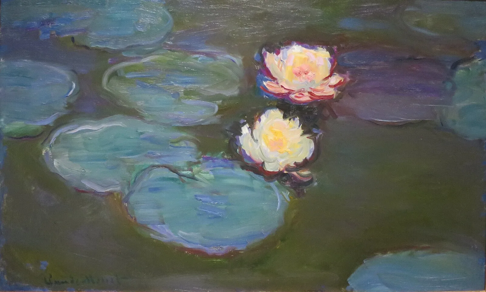 Water Lilies