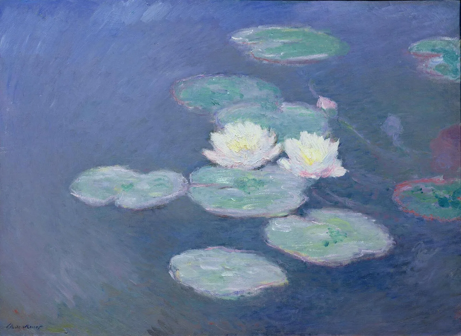 Water Lilies – Evening Effect