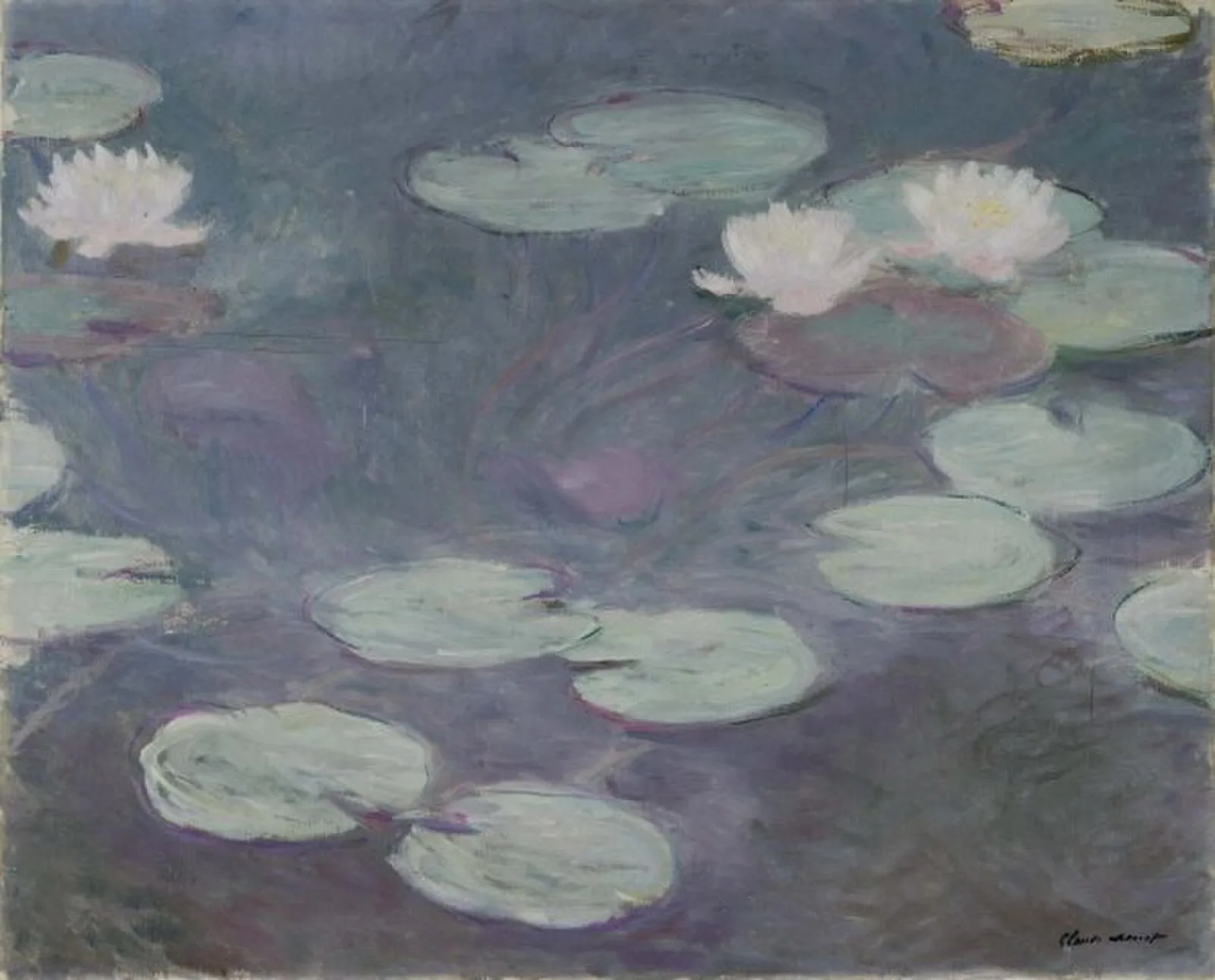 Water Lilies