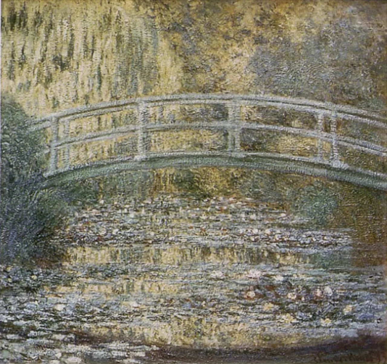 The Water Lily Pond