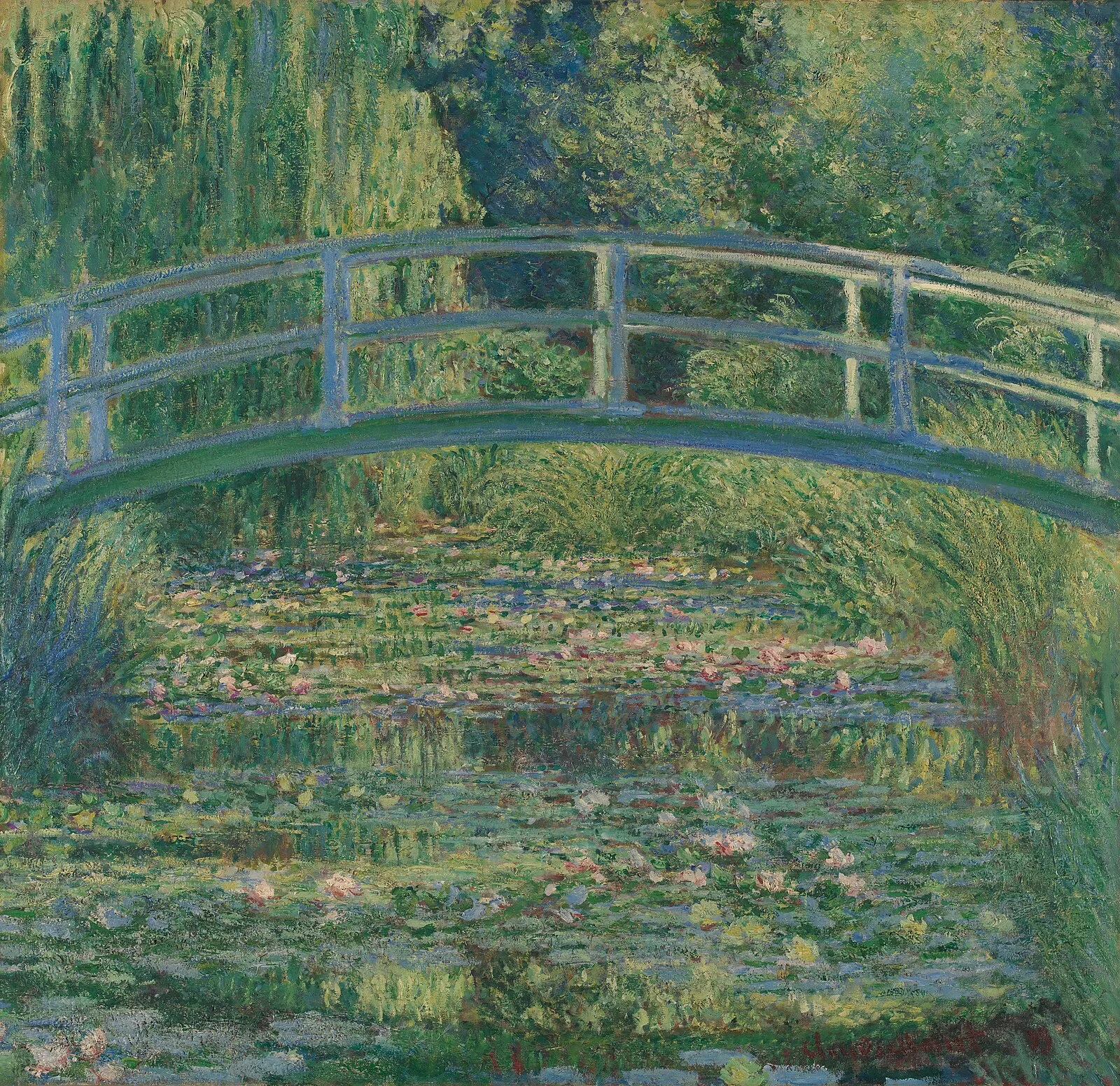 The Lily Pond