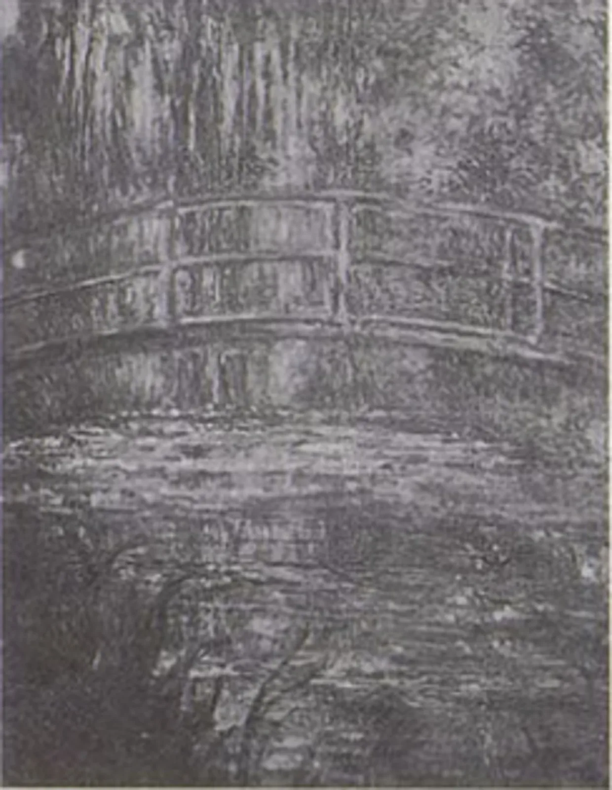 Bridge over the Water-Lilies
