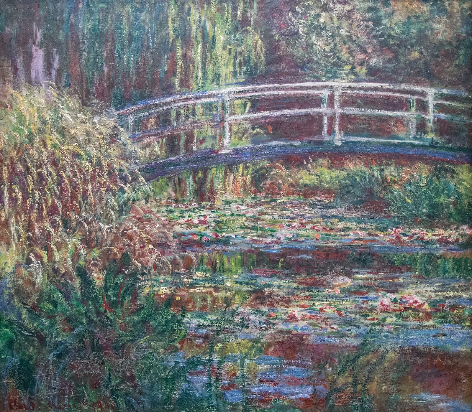 Water-Lily Pond, Symphony in Rose