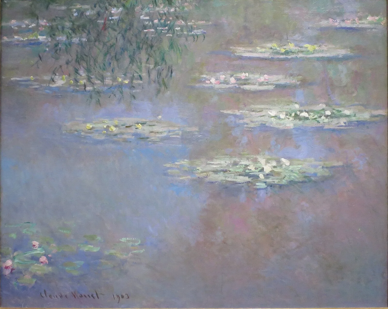Water-Lilies