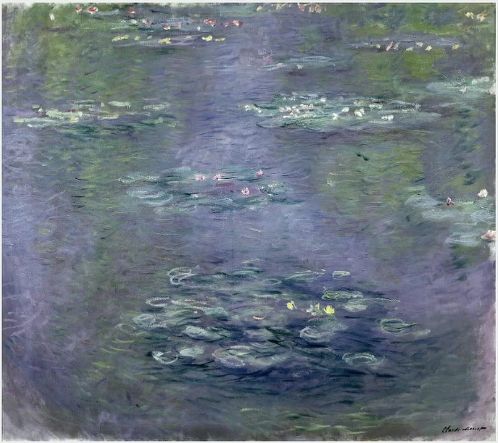 Water-Lilies