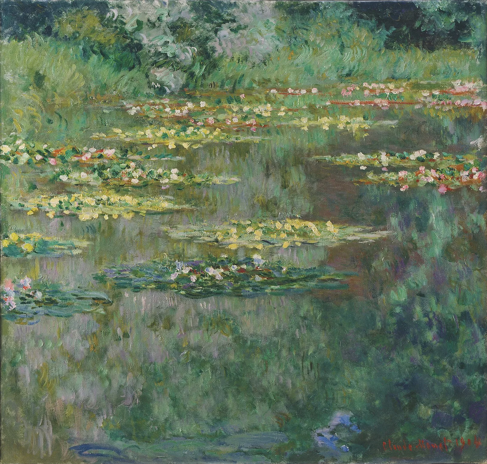 Lily Pond